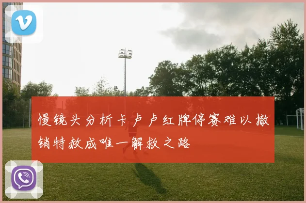 慢镜头分析卡卢卢红牌停赛难以撤销特赦成唯一解救之路